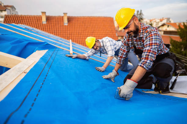 Roof Coating Services in Colfax, LA